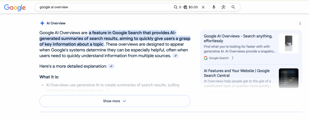 Google AI Overview